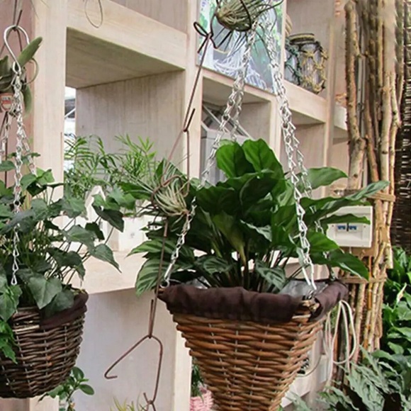 Fruit-ball Curly Metallic Work Holder Wire Base Ball Dish Art Wide Plate Bowl - Picture 9 of 9